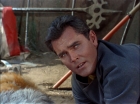 Filename=ariane179254_StarTrek_TheCage_2006.jpg
Filesize=147KiB
Dimensions=1440x1080
Date added=Sep 01, 2015 ariane179254_StarTrek_TheCage_2006.jpg