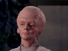 ariane179254_StarTrek_TheCage_2420.jpg