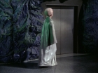 ariane179254_StarTrek_TheCage_2464.jpg