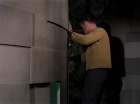 ariane179254_StarTrek_TheCage_2498.jpg
