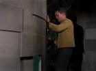 ariane179254_StarTrek_TheCage_2499.jpg