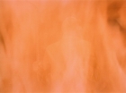 ariane179254_StarTrek_TheCage_2568.jpg