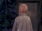 Filename=ariane179254_StarTrek_TheCage_2722.jpg
Filesize=103KiB
Dimensions=1440x1080
Date added=Sep 01, 2015 ariane179254_StarTrek_TheCage_2722.jpg