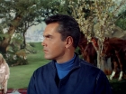 Filename=ariane179254_StarTrek_TheCage_2735.jpg
Filesize=168KiB
Dimensions=1440x1080
Date added=Sep 01, 2015 ariane179254_StarTrek_TheCage_2735.jpg