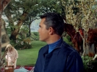 Filename=ariane179254_StarTrek_TheCage_2736.jpg
Filesize=187KiB
Dimensions=1440x1080
Date added=Sep 01, 2015 ariane179254_StarTrek_TheCage_2736.jpg