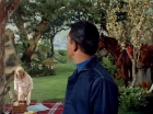 Filename=ariane179254_StarTrek_TheCage_2737.jpg
Filesize=198KiB
Dimensions=1440x1080
Date added=Sep 01, 2015 ariane179254_StarTrek_TheCage_2737.jpg