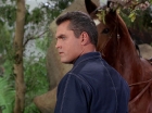 Filename=ariane179254_StarTrek_TheCage_2762.jpg
Filesize=168KiB
Dimensions=1440x1080
Date added=Sep 01, 2015 ariane179254_StarTrek_TheCage_2762.jpg