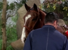 Filename=ariane179254_StarTrek_TheCage_2765.jpg
Filesize=159KiB
Dimensions=1440x1080
Date added=Sep 01, 2015 ariane179254_StarTrek_TheCage_2765.jpg