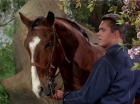Filename=ariane179254_StarTrek_TheCage_2767.jpg
Filesize=187KiB
Dimensions=1440x1080
Date added=Sep 01, 2015 ariane179254_StarTrek_TheCage_2767.jpg