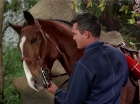 Filename=ariane179254_StarTrek_TheCage_2772.jpg
Filesize=174KiB
Dimensions=1440x1080
Date added=Sep 01, 2015 ariane179254_StarTrek_TheCage_2772.jpg