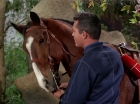 Filename=ariane179254_StarTrek_TheCage_2773.jpg
Filesize=180KiB
Dimensions=1440x1080
Date added=Sep 01, 2015 ariane179254_StarTrek_TheCage_2773.jpg