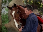 Filename=ariane179254_StarTrek_TheCage_2775.jpg
Filesize=178KiB
Dimensions=1440x1080
Date added=Sep 01, 2015 ariane179254_StarTrek_TheCage_2775.jpg