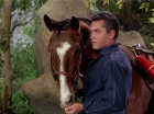 Filename=ariane179254_StarTrek_TheCage_2782.jpg
Filesize=185KiB
Dimensions=1440x1080
Date added=Sep 01, 2015 ariane179254_StarTrek_TheCage_2782.jpg