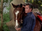 Filename=ariane179254_StarTrek_TheCage_2783.jpg
Filesize=182KiB
Dimensions=1440x1080
Date added=Sep 01, 2015 ariane179254_StarTrek_TheCage_2783.jpg