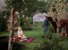 ariane179254_StarTrek_TheCage_2801.jpg