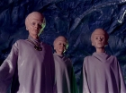 ariane179254_StarTrek_TheCage_3117.jpg