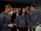 Filename=ariane179254_StarTrek_TheCage_3315.jpg
Filesize=133KiB
Dimensions=1440x1080
Date added=Sep 01, 2015 ariane179254_StarTrek_TheCage_3315.jpg