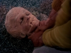 Filename=ariane179254_StarTrek_TheCage_3720.jpg
Filesize=103KiB
Dimensions=1440x1080
Date added=Sep 01, 2015 ariane179254_StarTrek_TheCage_3720.jpg