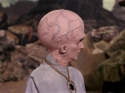 Filename=ariane179254_StarTrek_TheCage_4051.jpg
Filesize=138KiB
Dimensions=1440x1080
Date added=Sep 01, 2015 ariane179254_StarTrek_TheCage_4051.jpg