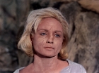 Filename=ariane179254_StarTrek_TheCage_4240.jpg
Filesize=144KiB
Dimensions=1440x1080
Date added=Sep 01, 2015 ariane179254_StarTrek_TheCage_4240.jpg
