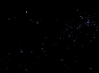 ariane179254_StarTrek_TheCage_4540.jpg