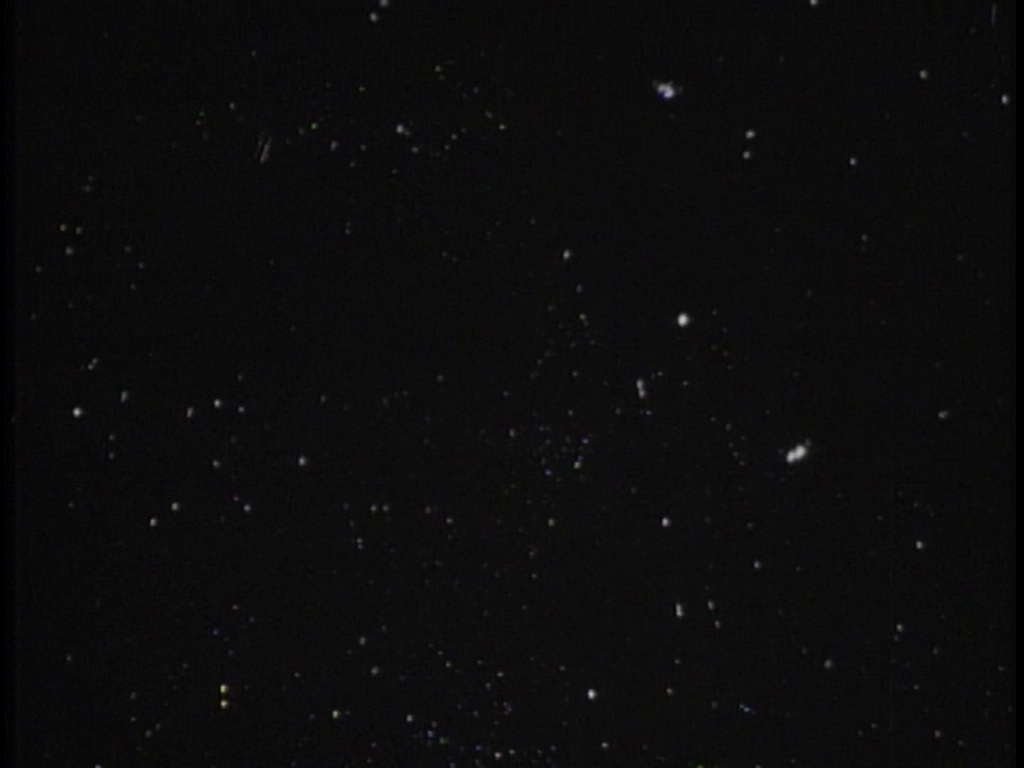 ariane179254_TheCage_ExtendedVersion_0005.jpg