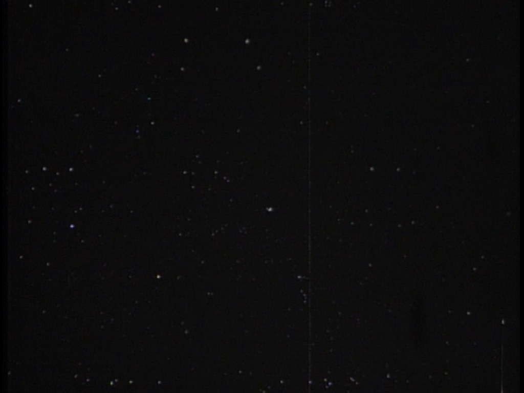 ariane179254_TheCage_ExtendedVersion_0010.jpg