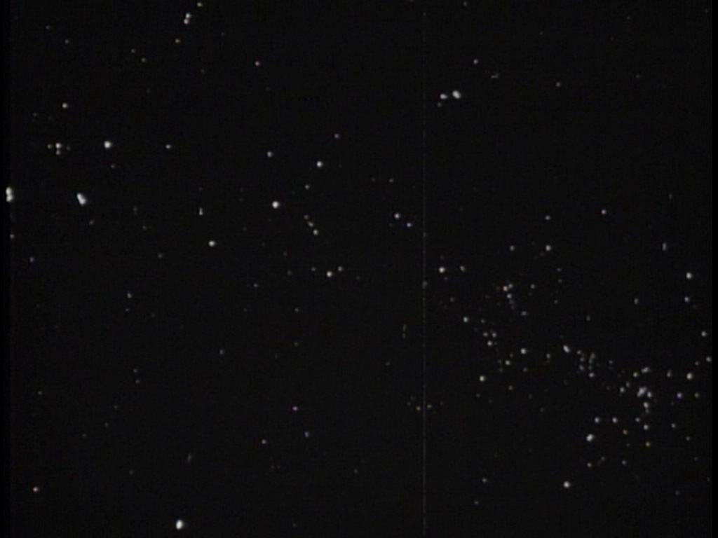 ariane179254_TheCage_ExtendedVersion_0012.jpg