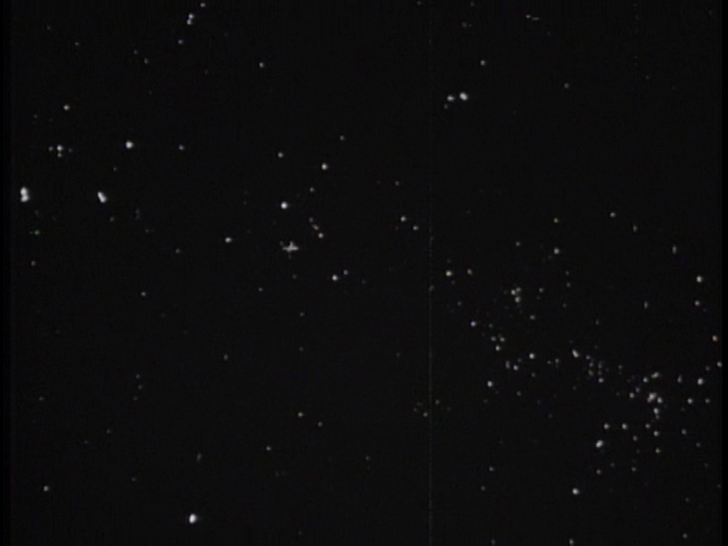ariane179254_TheCage_ExtendedVersion_0014.jpg