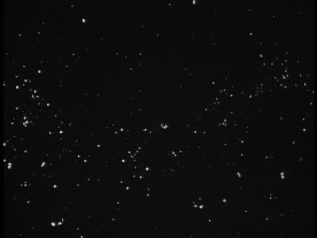 ariane179254_TheCage_ExtendedVersion_0017.jpg