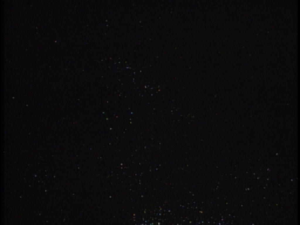 ariane179254_TheCage_ExtendedVersion_0028.jpg