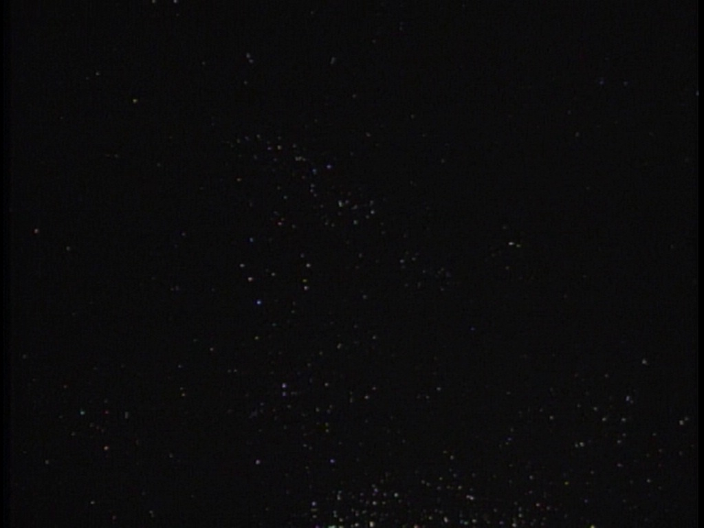 ariane179254_TheCage_ExtendedVersion_0029.jpg