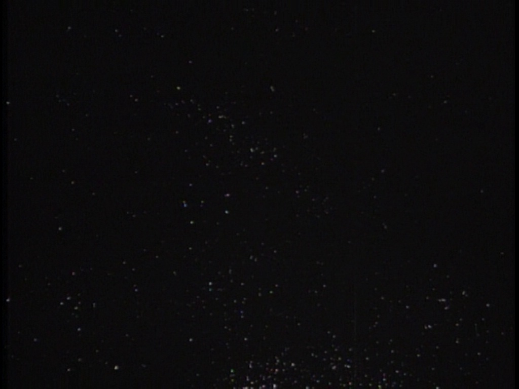 ariane179254_TheCage_ExtendedVersion_0038.jpg