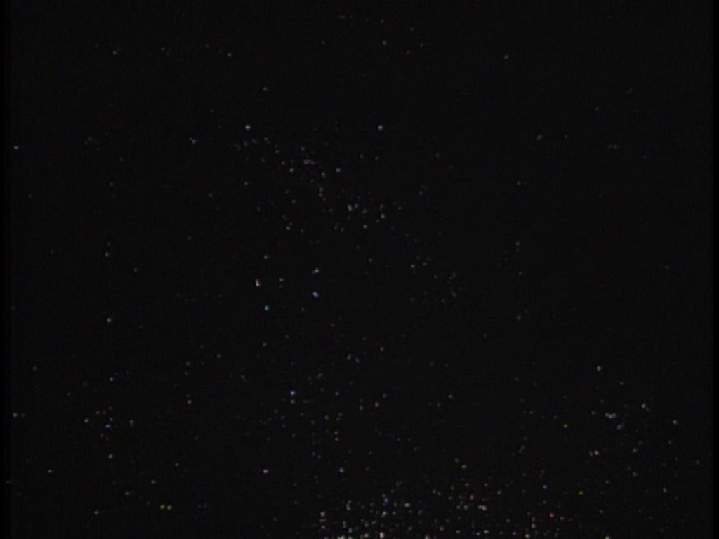 ariane179254_TheCage_ExtendedVersion_0039.jpg
