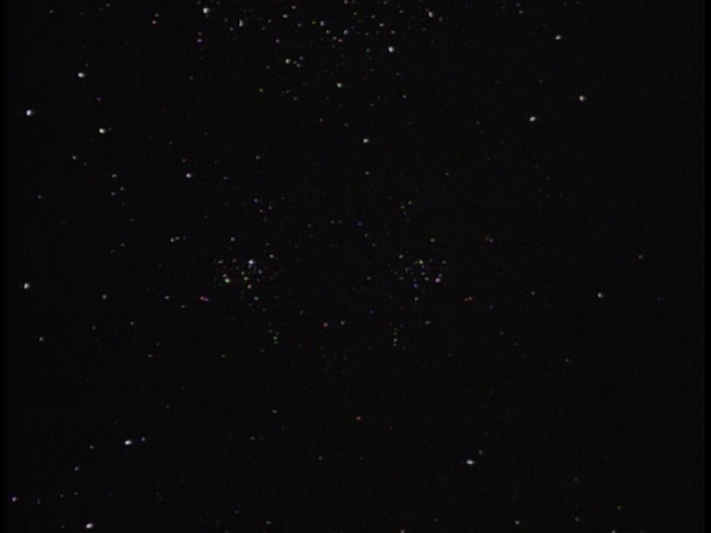 ariane179254_TheCage_ExtendedVersion_0528.jpg