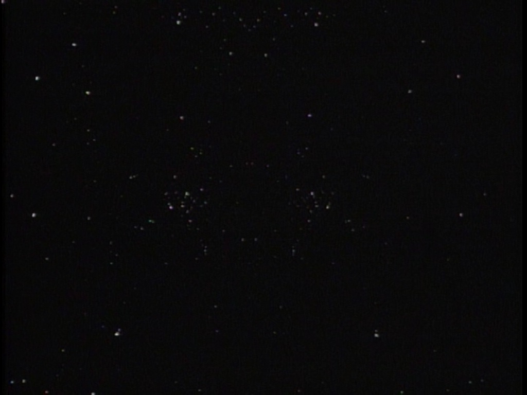 ariane179254_TheCage_ExtendedVersion_0530.jpg