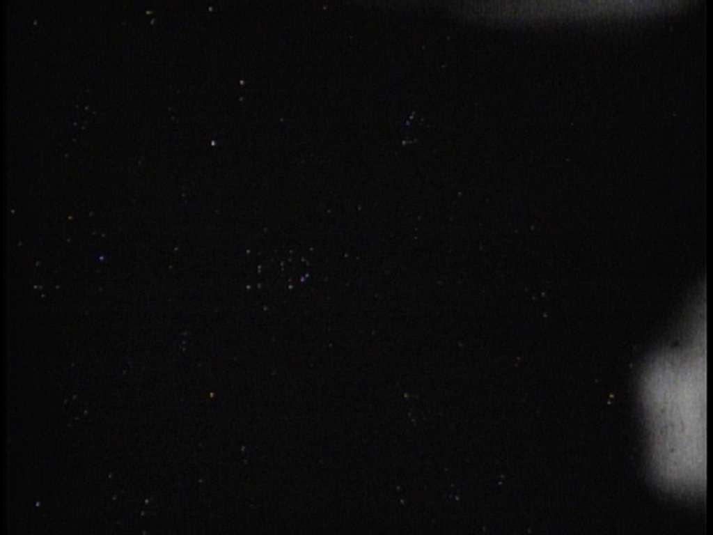 ariane179254_TheCage_ExtendedVersion_4110.jpg