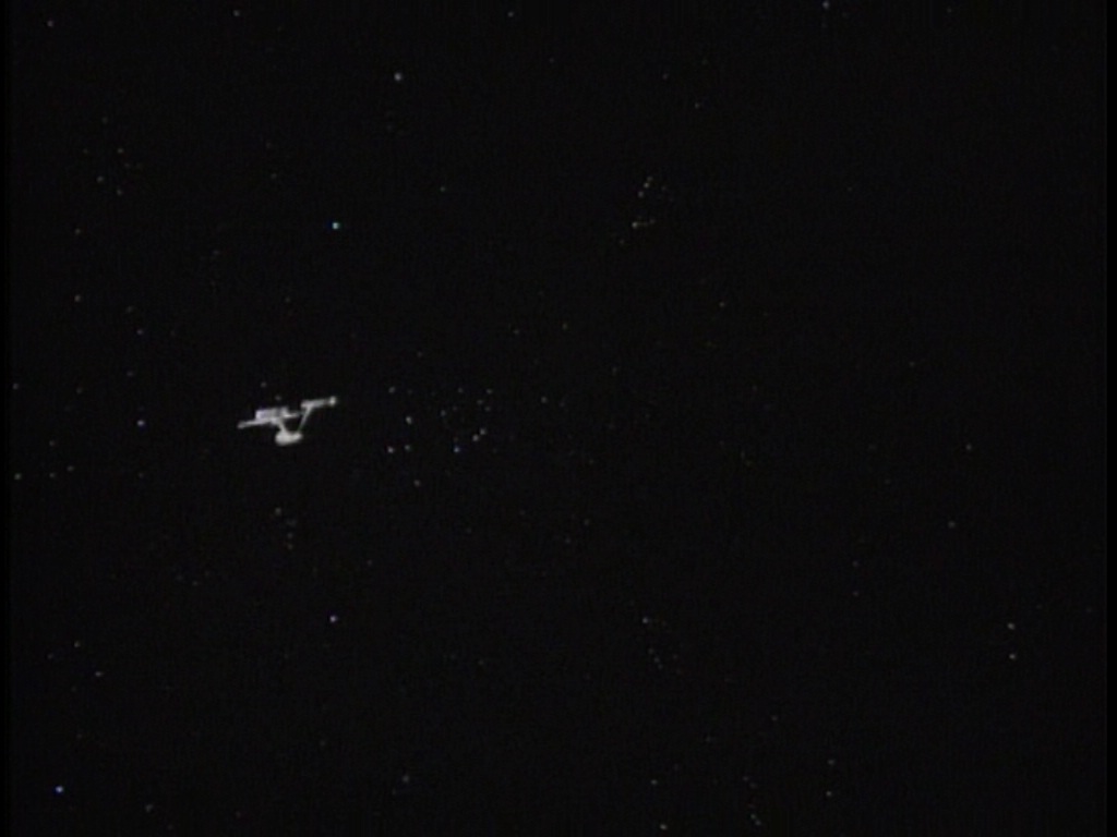 ariane179254_TheCage_ExtendedVersion_4115.jpg