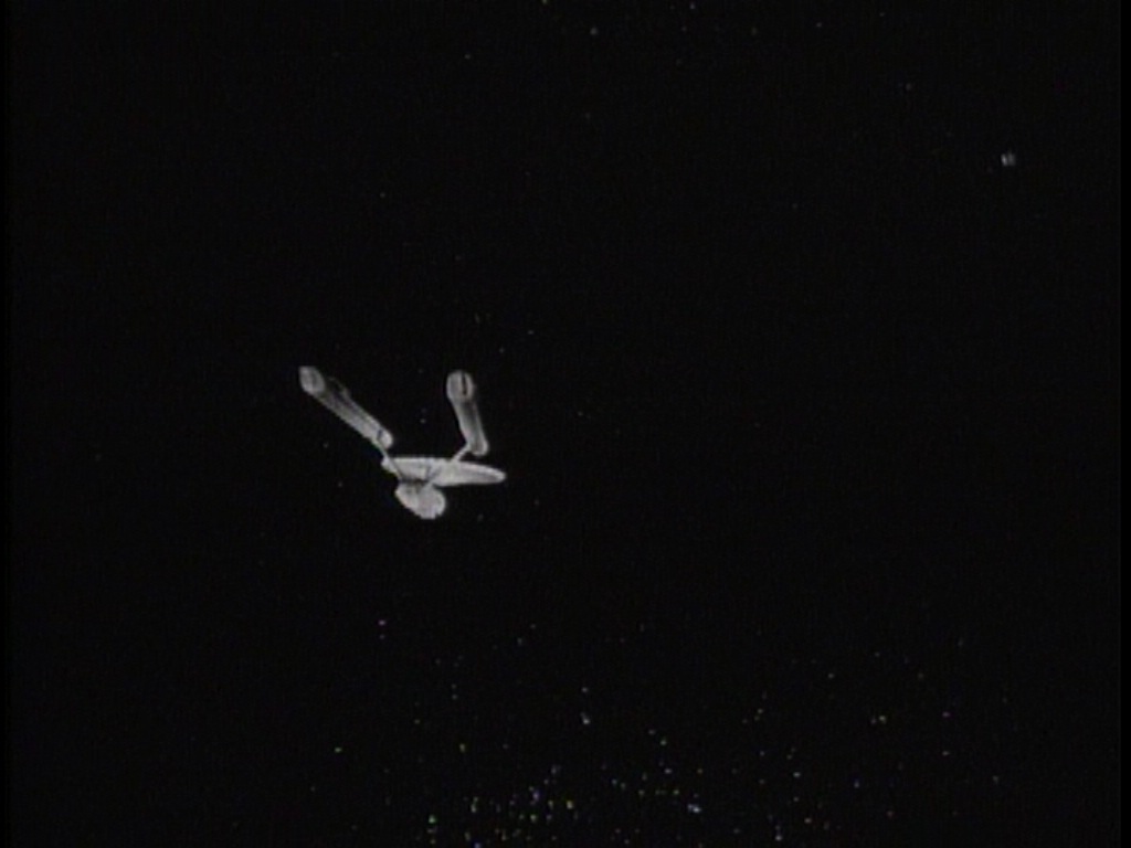 ariane179254_TheCage_ExtendedVersion_4124.jpg
