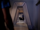 ariane179254_TheCage_ExtendedVersion_0209.jpg