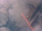 ariane179254_TheCage_ExtendedVersion_1105.jpg