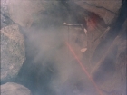 ariane179254_TheCage_ExtendedVersion_1106.jpg