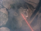 ariane179254_TheCage_ExtendedVersion_1107.jpg