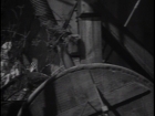ariane179254_TheCage_ExtendedVersion_1619.jpg