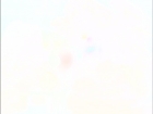 Filename=ariane179254_TheCage_ExtendedVersion_2007.jpg
Filesize=37KiB
Dimensions=1024x768
Date added=Sep 02, 2015 ariane179254_TheCage_ExtendedVersion_2007.jpg