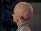 Filename=ariane179254_TheCage_ExtendedVersion_3251.jpg
Filesize=106KiB
Dimensions=1024x768
Date added=Sep 02, 2015 ariane179254_TheCage_ExtendedVersion_3251.jpg