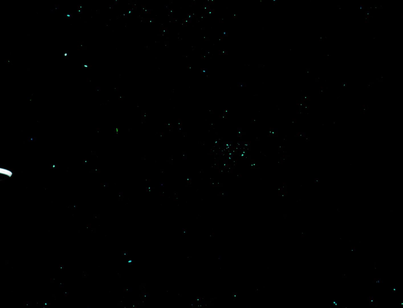 ariane179254_StarTrek_1x03_WhereNoManHasGoneBefore_TheOriginalUncutUnairedVersion_0950.jpg