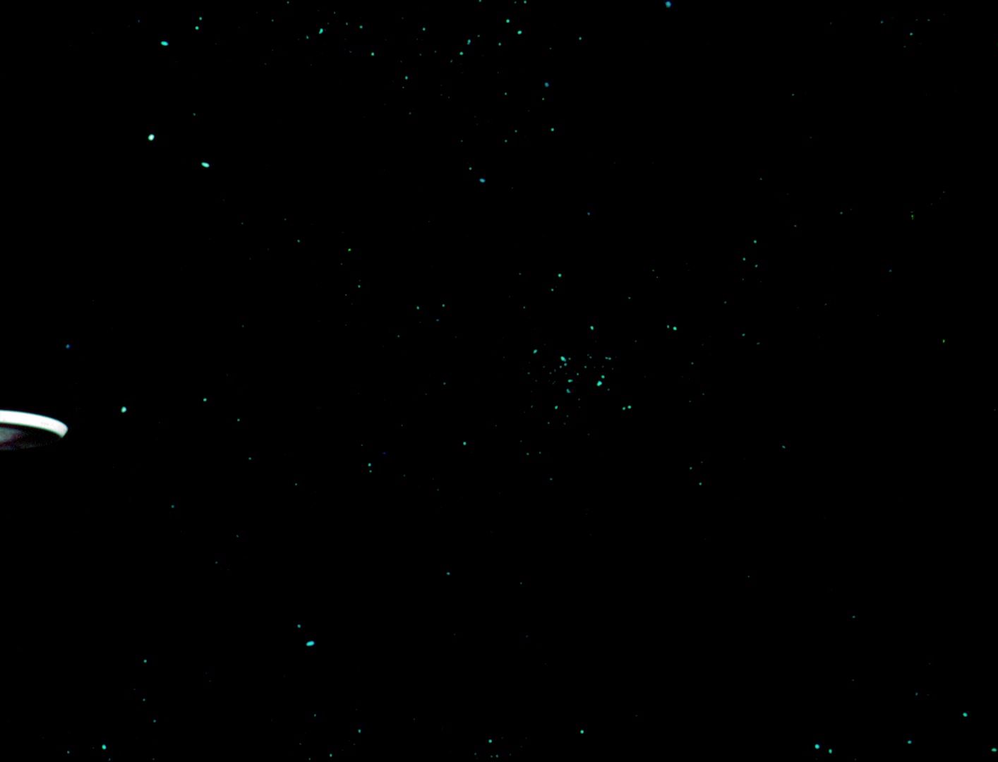 ariane179254_StarTrek_1x03_WhereNoManHasGoneBefore_TheOriginalUncutUnairedVersion_0951.jpg