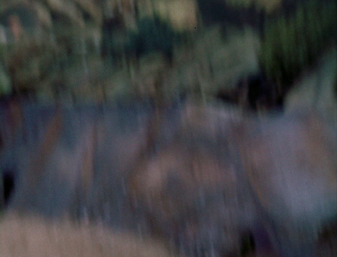 ariane179254_StarTrek_1x03_WhereNoManHasGoneBefore_TheOriginalUncutUnairedVersion_3353.jpg