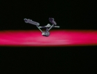ariane179254_StarTrek_1x03_WhereNoManHasGoneBefore_TheOriginalUncutUnairedVersion_0775.jpg